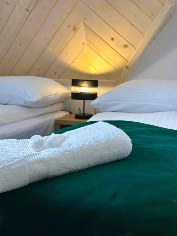 Apartamenty Gorskie Widoki Poronin Zewnętrze zdjęcie